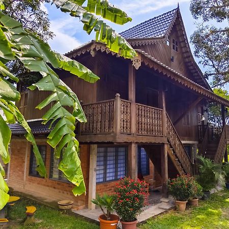 Sayang Di Kaki Bukit Homestay Near Icon City 大山脚 外观 照片